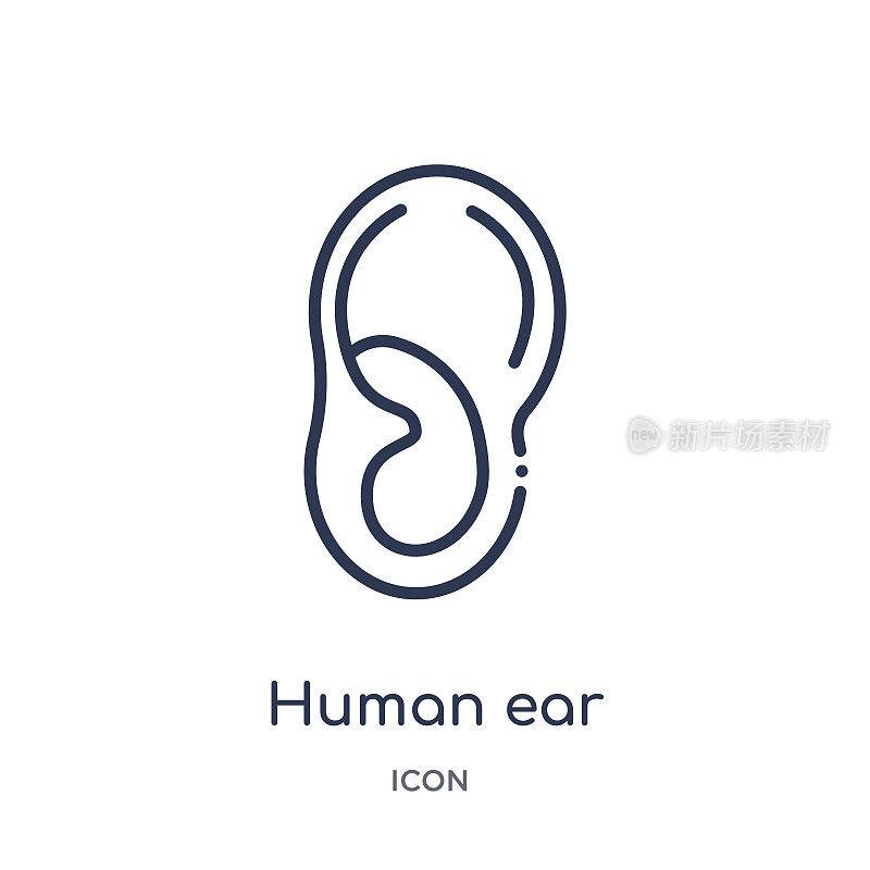 Linear human ear icon from Human body parts outline collection. Thin line human ear icon isolated on white background. human ear trendy illustration
